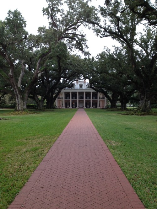 Oak Alley Plantation. My favorite part of the trip. 