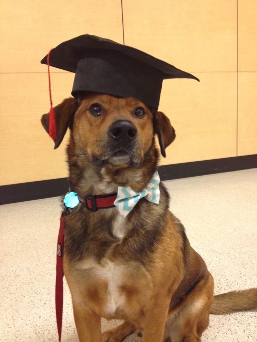 Our serious little graduate