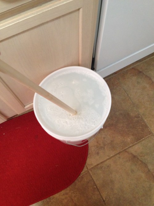 Stirring the liquid after combining all the ingredients. Feeling hopeful!