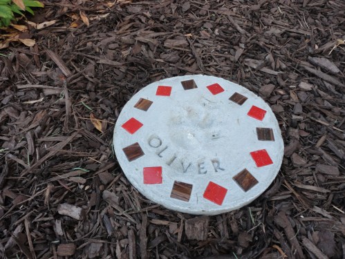 2013-07-05 (8) backyard makeover complete!