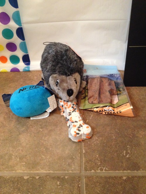 2014-10-13 (32) oliver's adoption day!